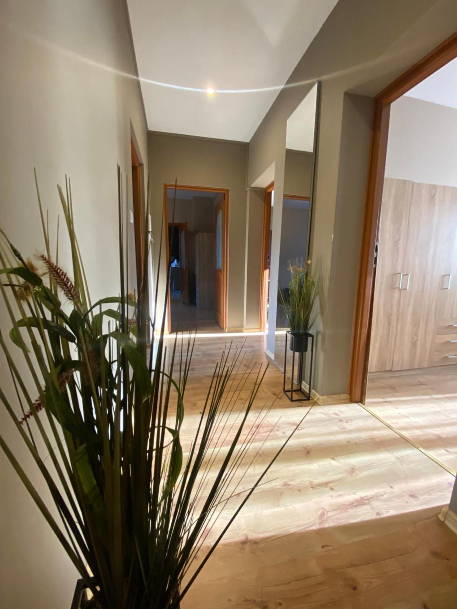 4 Pokoje - 86 M2 - 300 M Od Rynku Wrocław Eksteriør bilde